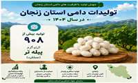 تولید پیله تر در استان زنجان